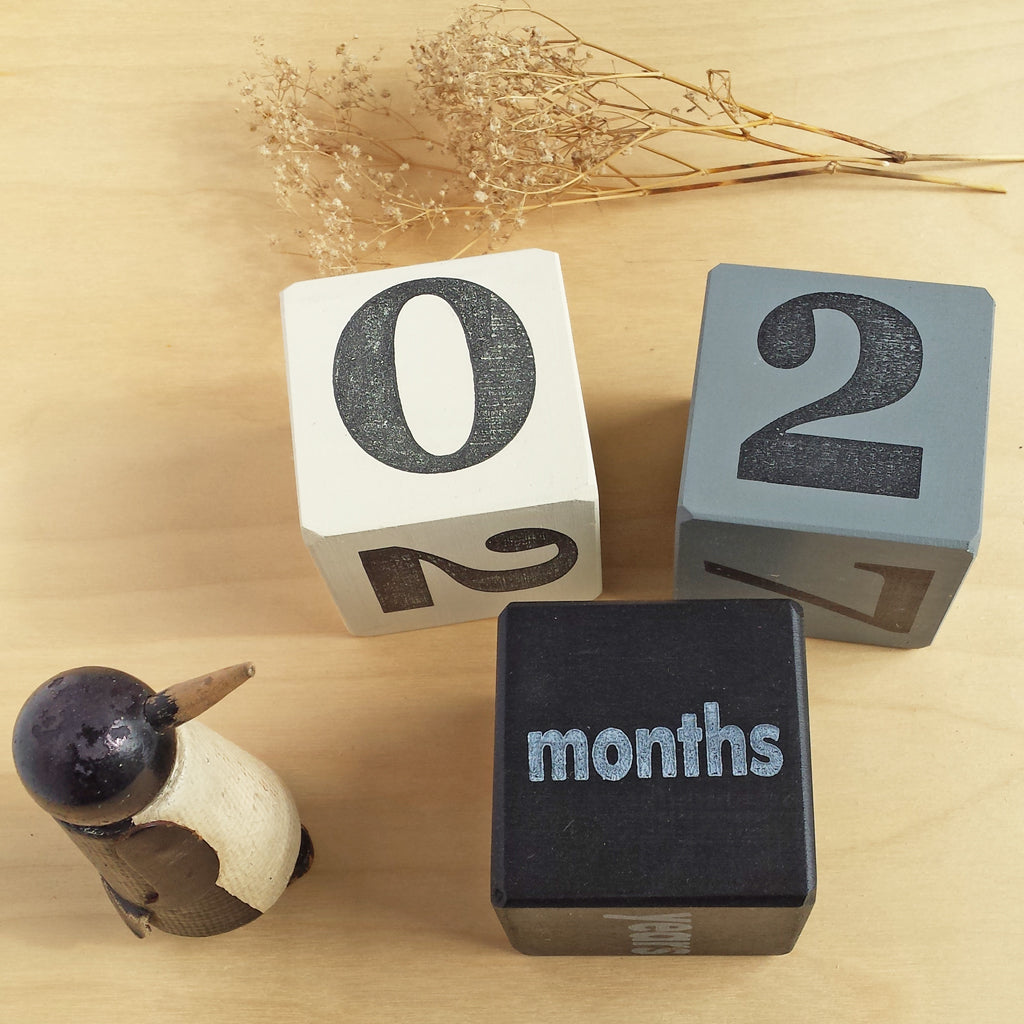 baby age blocks - set of 3 (five color options) - Tree by Kerri Lee