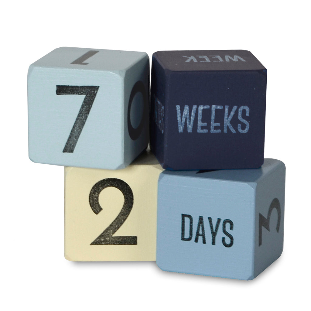 age blocks - set of 4 minis (four color options) - Tree by Kerri Lee