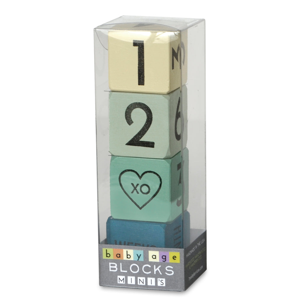 age blocks - set of 4 minis (four color options) - Tree by Kerri Lee