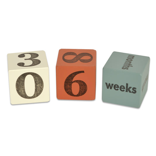 baby age blocks - set of 3 (five color options) - Tree by Kerri Lee