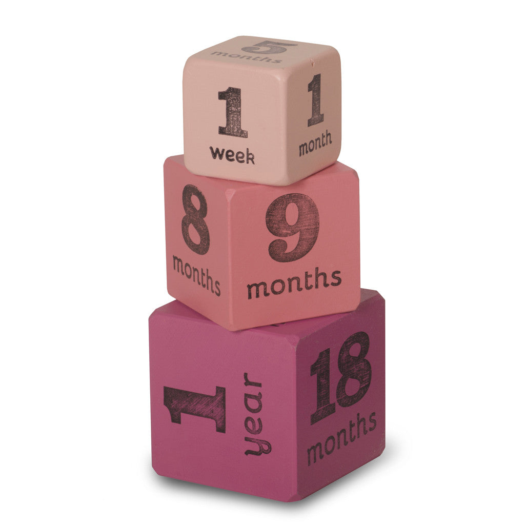 baby age blocks - multisize milestone ages (3 color options) - Tree by Kerri Lee