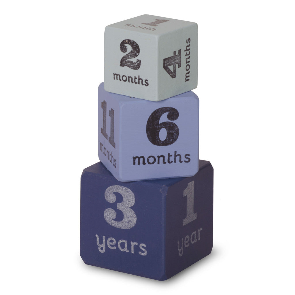 baby age blocks - multisize milestone ages (3 color options) - Tree by Kerri Lee