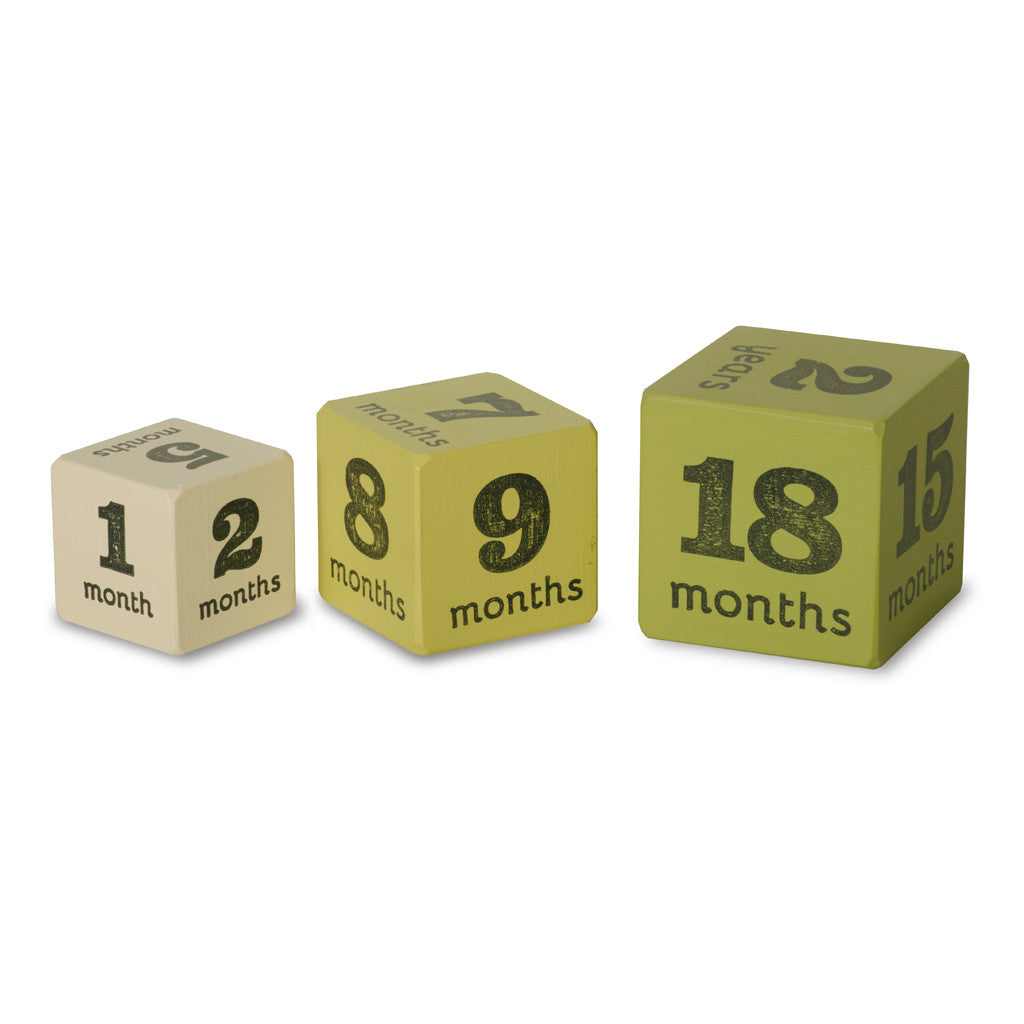 baby age blocks - multisize milestone ages (3 color options) - Tree by Kerri Lee